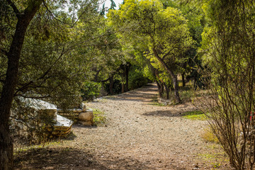 soft focus landscape of tropic dry outdoor park environment with empty crush stone trail for walking