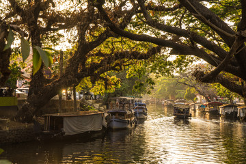 trees, boats and rivers