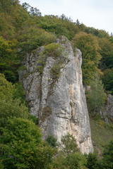 Steinwand in Dollnstein