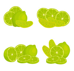 Set of lime compositions. Vector fruit whole, sliced, half, slices and rings. Different angles