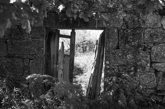 black and white picture of a ruin