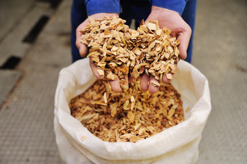 chips to the smokehouse sausage close up in the palms of men