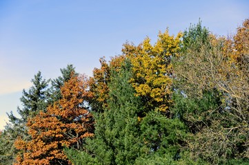 Fall in Ottawa