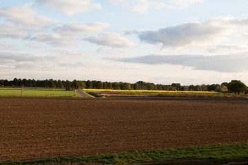 blick auf ein gepflügtes feld und rapsfeld im hintergrund in meppen emsland deutschland fotografiert während einer sightseeing tour