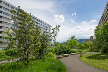 modern urban gardening in Zurich , Switzerland