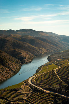 O barco a rasgar a paisagem