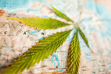 cannabis leaf on world map