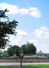 Warm day in the Orange Garden (Savello Parco)with a view of Rome in the background.