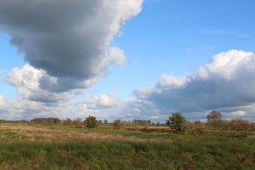 Fototapeta premium A sunny day in the bog in East Friesland