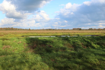 Naklejka premium A sunny day in the bog in East Friesland