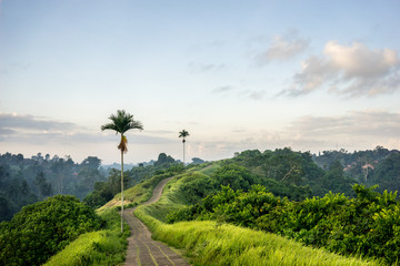 Campuhan Ridge Walk