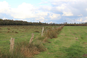 a wicker fence in the moor