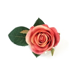 Decorative bouquet of pink rose to create congratulations for a holiday or event