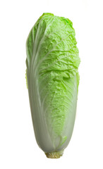 Romain Lettuce isolated on a white background