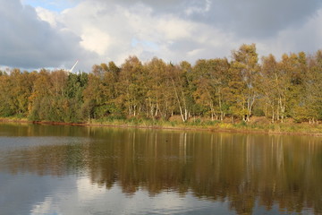 Fototapeta na wymiar Reflection in a small lake