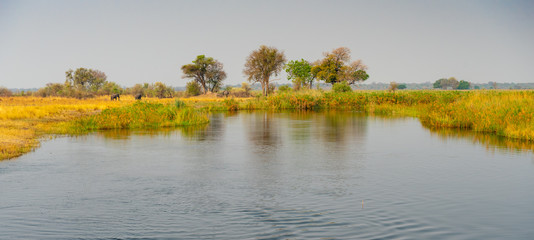 Fototapeta na wymiar malerische Landschaft am Kwando River, Elefanten ziehen zum Wasser, Region Sambesi, Namibia