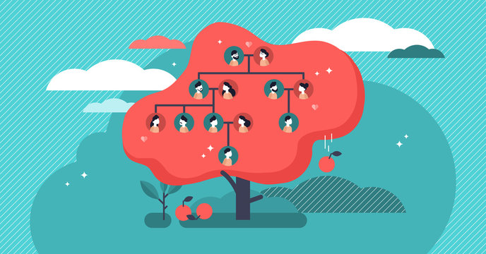 Family tree flat vector illustration. Example of relatives connection data.
