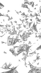 Fototapeta premium Flying dollars banknotes isolated on white background. Money is flying in the air. 100 US banknotes new sample. Black and white style. 3D illustration