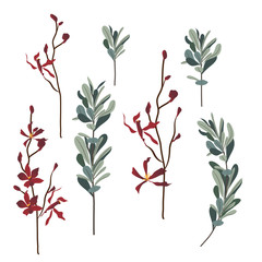 Set of flowers and leaves, hand drawn style.