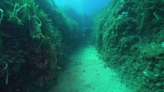 Wrack 61