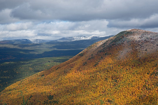 Couleurs automnales sur le flanc du mont Ernest-Laforce dans le parc national de la Gasp&eacute;sie