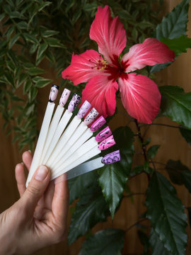 Nail design, the choice of pattern tips. Painted tips on the background of a red flower.
