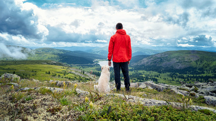 traveler on top of the mountain with a dog Labrador
