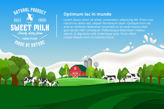 Vector milk illustration with cows, calves, farm and milk splash