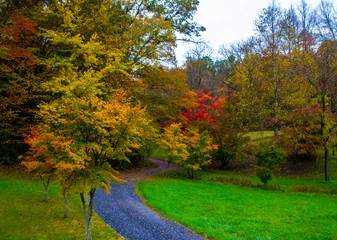 Trail in Autumn