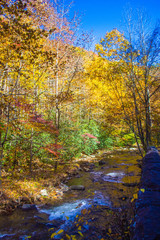 Fototapeta premium River through smokeys