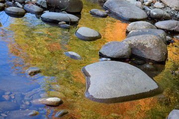 River Fall Reflections