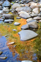 River Fall Reflections