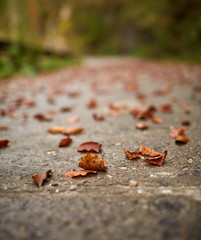 Empty road in the mountains