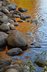 River Fall Reflections