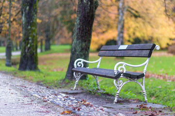White bench in a park 