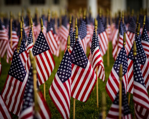 A field of flags