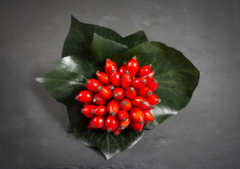 red rosehips berries