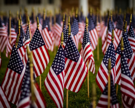 A field of flags