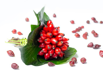 rosehips isolated on white