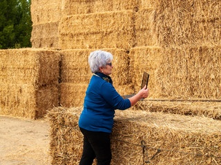 Naklejka na ściany i meble An entrepreneur senior woman working outdoor on a farm with a laptop over a hay bale