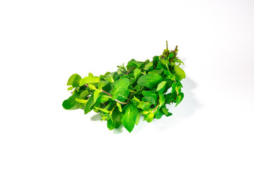 Plakat bunch of green mint on a white background