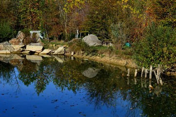 reflection in the lake
