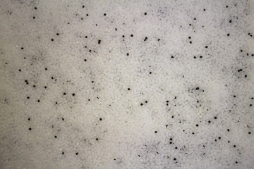 The granules of white plastic are mixed with a few of black granules