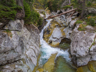 waterfall cascade on wild river stream studeny potok with boulders, autumn colored tree at mountain valley Velka Studena Dolina in Slovakia High Tatra mountains © Kristyna