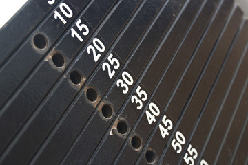 Typesetting loads of sporting trainer with denotation of weight