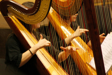 Two women play the harp during a symphonic concert. Close up on hands and strings. Excellence and ...