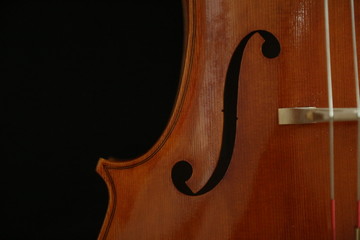 Violin detail with strings isolated on black.