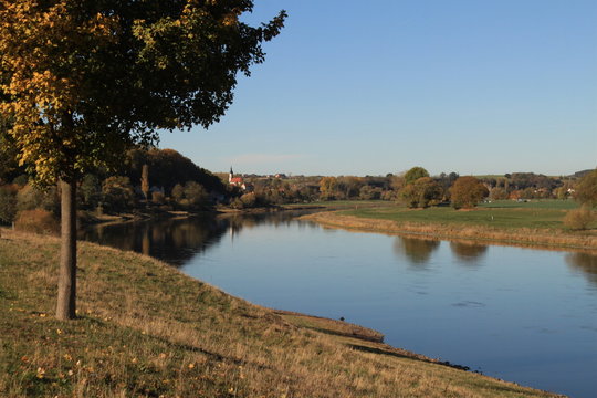 Herbstliche Elblandschaft bei Zehren