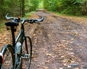 Fototapeta na wymiar Black bike in forest in autumn. Bike on forest trail.