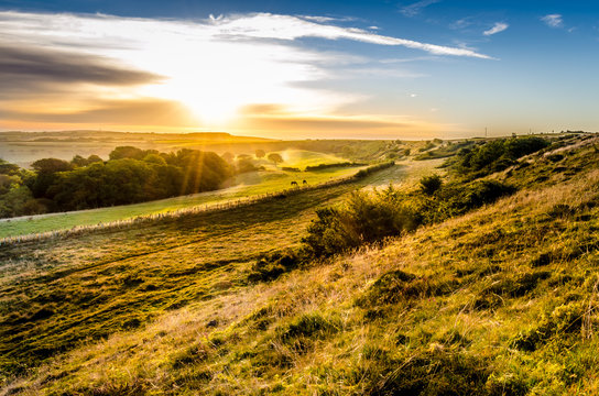 Dramatic, golden sunrise near Abbotsbury, Dorset.